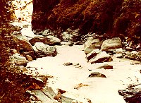 1979_Nepal_KS_WBpixMixed135.jpg