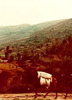 1979_Nepal_KS_WBpixMixed148.jpg