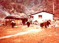 1979_Nepal_KS_WBpixMixed173.jpg