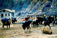 1979_Nepal_KS_WBpixMixed174.jpg