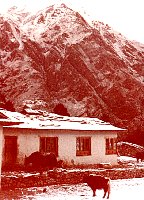 1979_Nepal_KS_WBpixMixed198.jpg