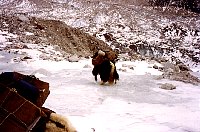 1979_Nepal_KS_WBpixMixed203.jpg