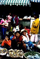 1979_Philippines_024byWB.jpg