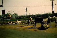 1980_India2_WB001.jpg
