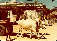 1980_India_z013.jpg