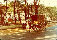 1980_SriLanka_Colombo_008.jpg