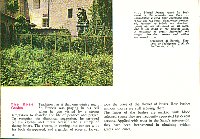 s1975_Italy_Assisi_015.jpg