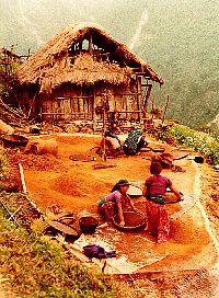 1979 Nepal, Pokhara-Muktinath Trek
